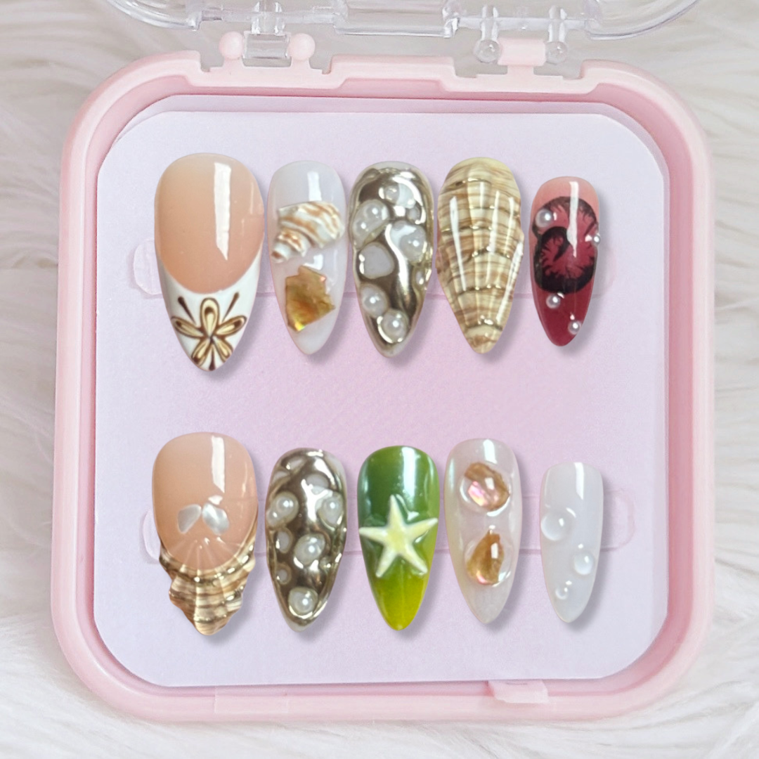 Coastal Shells