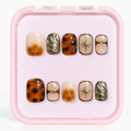 Chestnut Shell