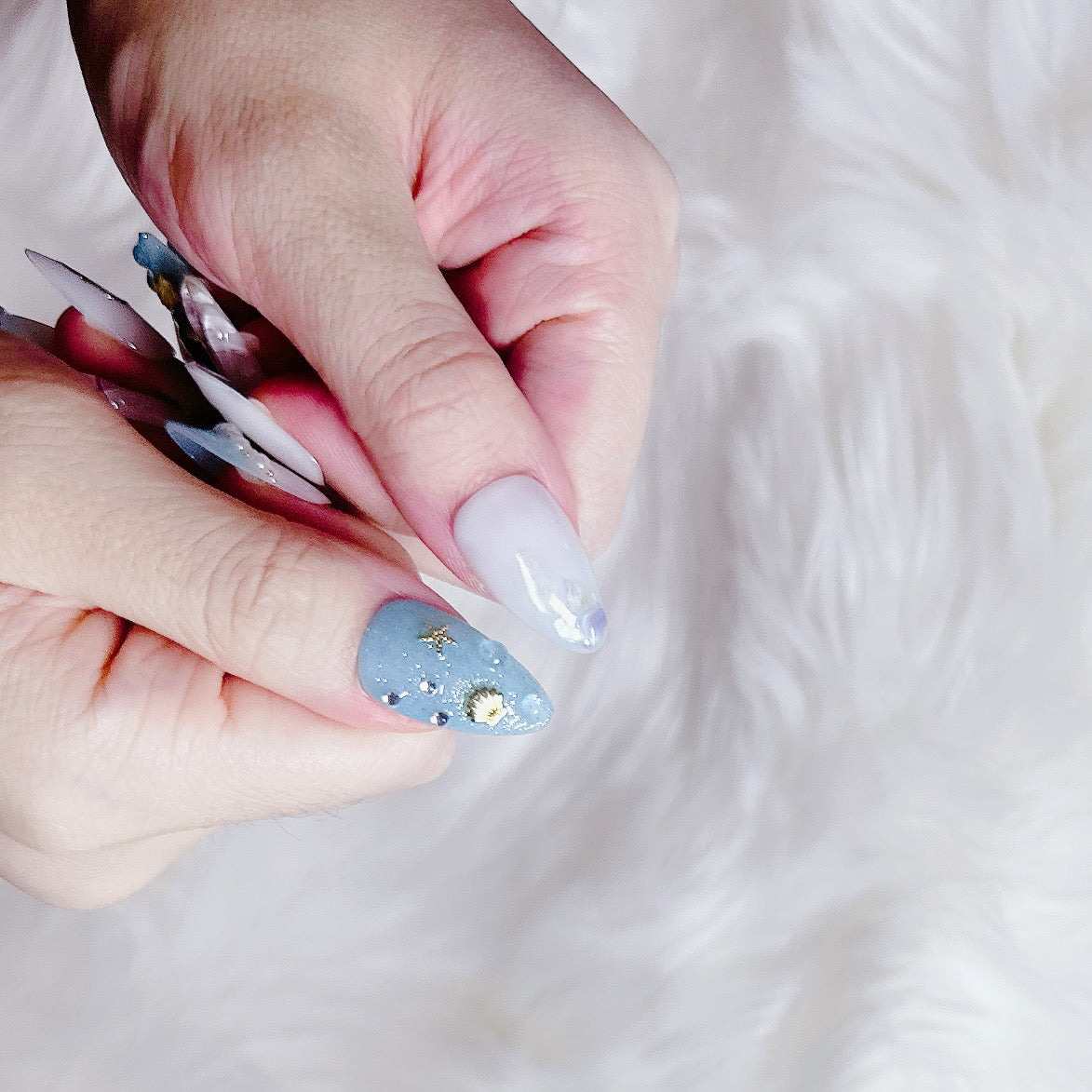 Seashell Muse